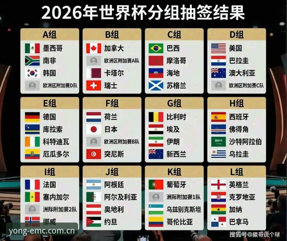 老用户亲历：世界杯观赛签证困局，我在emc易倍体育官网看懂了这场“冷场”